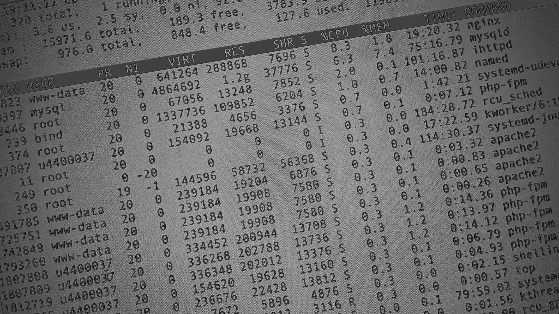 Настройка сервера в Отрадном Настройка сервера в Отрадном